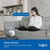 imageTPLink Tapo Matter Outdoor Smart Plug 2 Individual outlets IP65 Weather Resistance Works with Apple Home Alexa Google Home Long WiFi Range 24G WiFi Only ETL CertifiedTapo P400MSmart Plug
