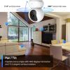 imageTapo 2K 3MP PanTilt IndoorOutdoor Security Camera Free PersonBaby Cry Detect ampamp Motion Track 360 Pan Color Night Vision SDCloud Storage Works wAlexa ampamp Google Home HybridCam 360 BlackWhite