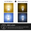 imageKasa Smart Light Bulbs Full Color Changing Dimmable Smart WiFi Bulbs Compatible with Alexa and Google Home A19 9W 800 Lumens24Ghz only No Hub Required 4 Count Pack of 1 Multicolor KL125P4800 Lumens  4Pack