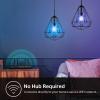 imageKasa Smart Light Bulbs Full Color Changing Dimmable Smart WiFi Bulbs Compatible with Alexa and Google Home A19 9W 800 Lumens24Ghz only No Hub Required 4 Count Pack of 1 Multicolor KL125P4800 Lumens  4Pack