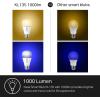 imageKasa Smart Light Bulbs Full Color Changing Dimmable Smart WiFi Bulbs Compatible with Alexa and Google Home A19 9W 800 Lumens24Ghz only No Hub Required 4 Count Pack of 1 Multicolor KL125P41000 LM  4Pack